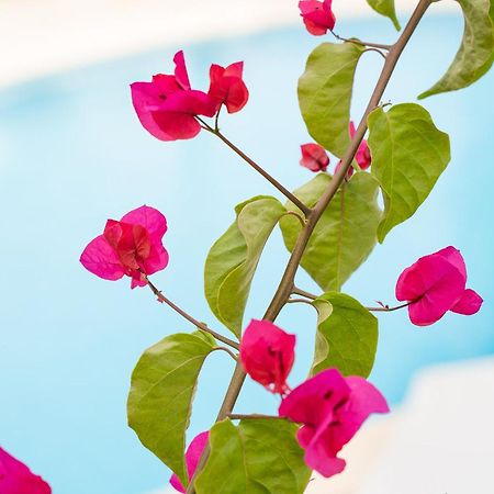 Apartamentos Los Tilos Пагера Екстериор снимка